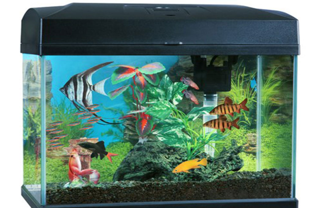 Aquarium